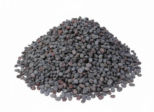 مویز بی هسته ازبک وارداتی سایز متوسط